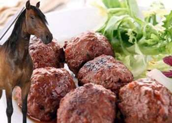 Guardian: Οι Έλληνες έφαγαν 74 τόνους αλογίσιο κρέας