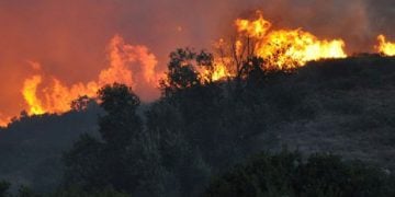 Σε ύφεση οι φωτιές σε Ρόδο και Κρήτη