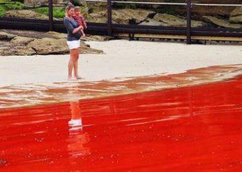 Αυστραλία: Η θάλασσα... βάφτηκε κόκκινη