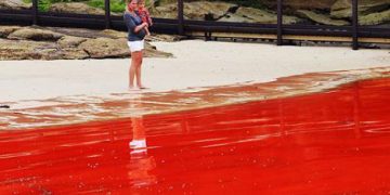 Αυστραλία: Η θάλασσα... βάφτηκε κόκκινη