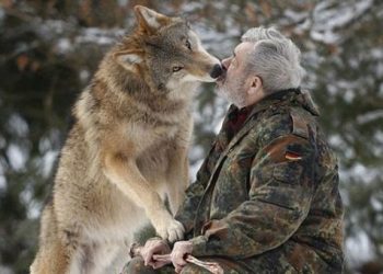 Χορεύοντας με τους λύκους για 40 χρόνια