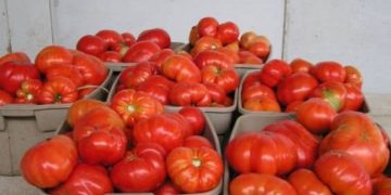 Σκοπιανές ντομάτες σε Χανιά και Ρέθυμνο