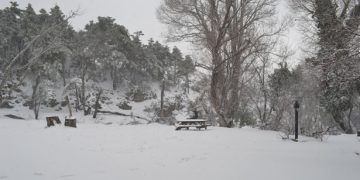 Έντονη χιονόπτωση στην Πάρνηθα! Δείτε εικόνες