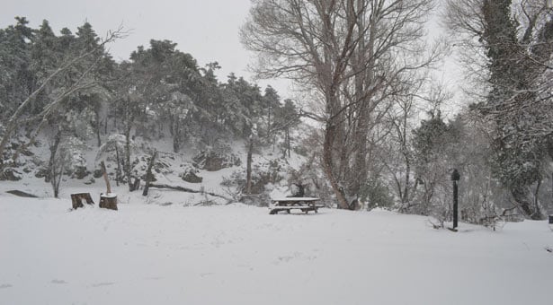 Έντονη χιονόπτωση στην Πάρνηθα! Δείτε εικόνες