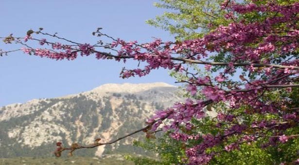 Ηλιοφάνεια σήμερα σε όλη την χώρα