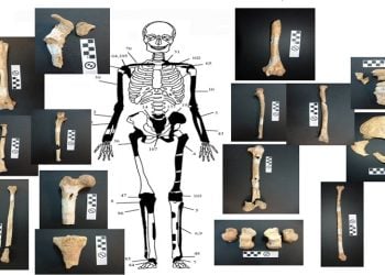 Πέντε οι σκελετοί της Αμφίπολης – Ανήκει ο ένας στην Ολυμπιάδα;
