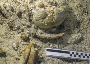 Ανεύρεση σκελετού στο Ναυάγιο των Αντικυθήρων (φωτο)