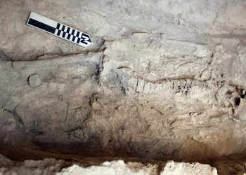 Ασύλητος τάφος βρέθηκε στο μυκηναϊκό νεκροταφείο των Αηδονίων στη Νεμέα (φωτο) - Media Gallery
