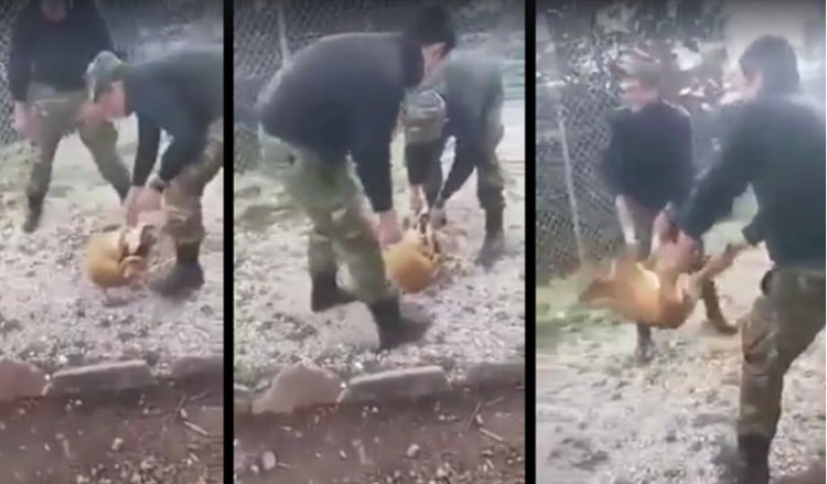Στρατιώτες πέταξαν ζωντανό σκύλο σε γκρεμό – Αυστηρές ποινές ζητεί ο Καμμένος από το ΓΕΣ