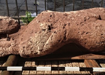 Οι κούροι της Αταλάντης: Ήρθαν στο φως αρχαϊκά αγάλματα στη Φθιώτιδα