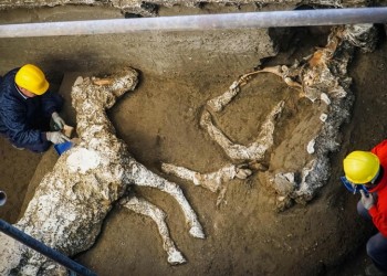 Εντυπωσιακή ανακάλυψη στην Πομπηία: Στο φως άλογο με τα χαλινάρια του (φωτο)