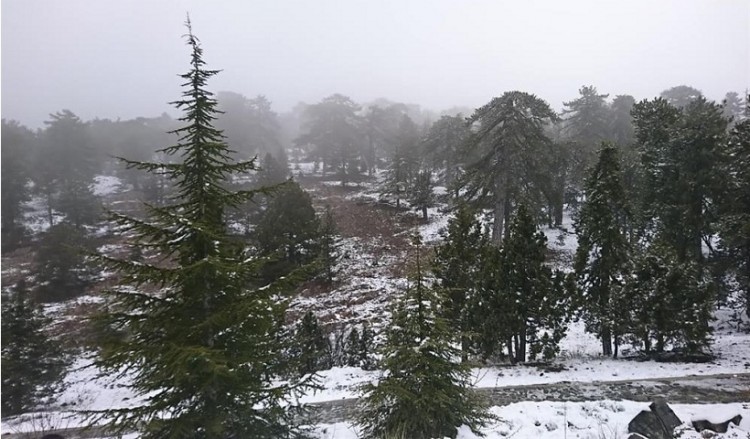 Εντυπωσιακές εικόνες από τη χιονισμένη οροσειρά του Τροόδους (βίντεο)