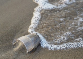 WWF: Ο μέσος άνθρωπος καταπίνει κάθε εβδομάδα 5 γραμμάρια πλαστικό
