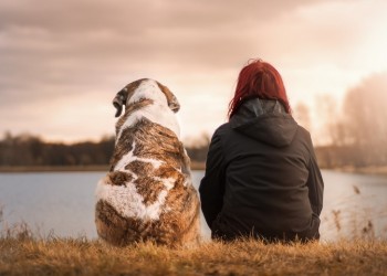 Έρευνα: Το άγχος των ανθρώπων μεταδίδεται και στους σκύλους τους