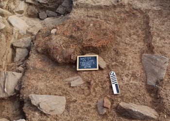 Σημαντικός προϊστορικός οικισμός αποκαλύφθηκε στην Κάρυστο (φωτο)