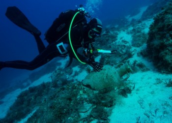 Νέα αρχαία ναυάγια εντοπίστηκαν στο Αιγαίο, στη νήσο Λέβιθα