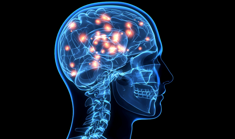 Δημιουργήθηκε τεχνητή σύναψη εγκεφάλου που επικοινωνεί με τα ζωντανά κύτταρα