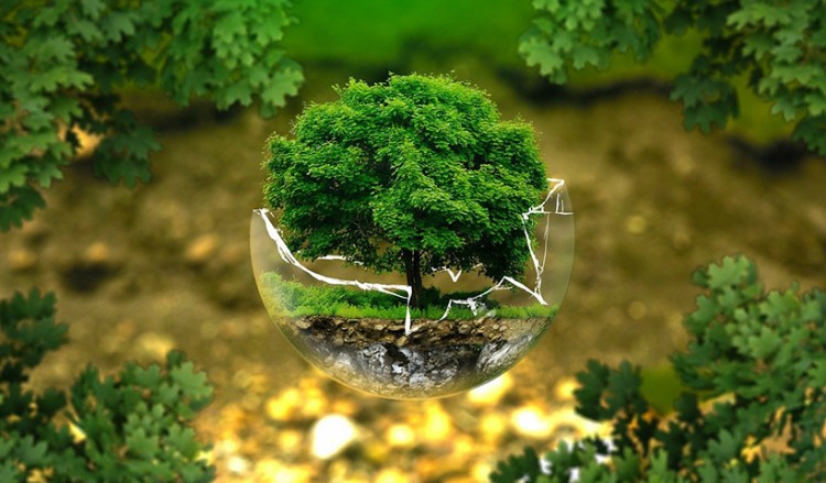Πρόταση WWF: «Πράσινο» πακέτο ανάκαμψης για την ελληνική οικονομία