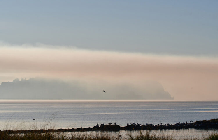 Πρωινή ομίχλη στο Ναύπλιο (φωτ.: ΑΠΕ-ΜΠΕ / Ευάγγελος Μπουγιώτης)