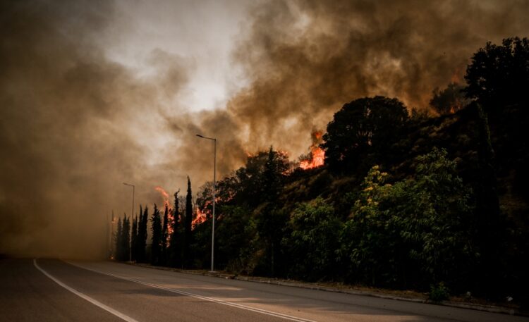 Στιγμιότυπο από τις φωτιές στην περιοχή της Λαμίας (φωτ.: EUROKINISSI/Νάσος Σιμόπουλος)