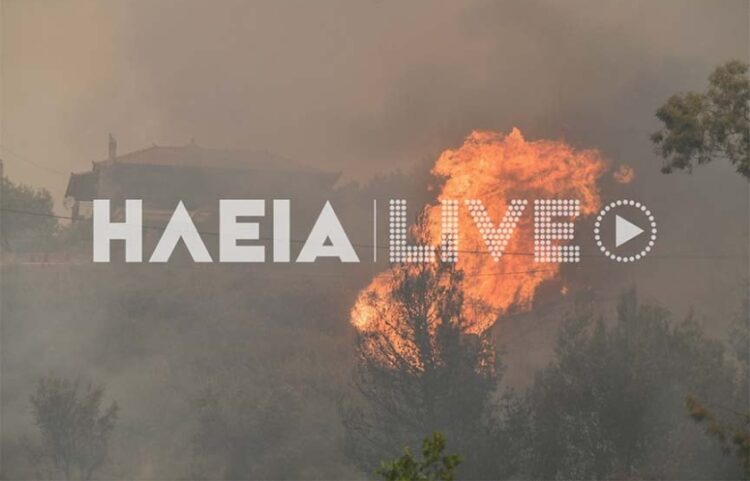 Σπίτια διακρίνονται πίσω από τις φλόγες (φωτ.: ilialive.gr)