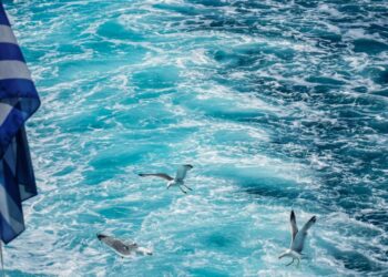 Γλάροι πετούν πάνω από την επιφάνεια της θάλασσας ακολουθώντας δρομολόγιο πλοίου (φωτ.: Eurokinissi / Γιώργος Κονταρίνης)