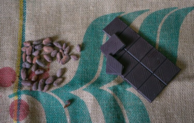 Κόκκοι κακάο και σοκολάτα (φωτ.: pixabay/summa)