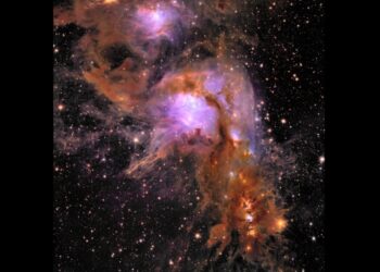 Ο Messier 78, ένα φυτώριο αστεριών που περιβάλλεται από διαστρική σκόνη (φωτ.: ESA/Euclid/Euclid Consortium/NASA, image processing by J.-C. Cuillandre (CEA Paris-Saclay), G. Anselmi; CC BY-SA 3.0 IGO or ESA Standard Licence)
