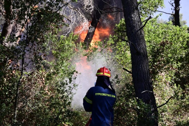 Πυρκαγιά στην Σταμάτα Αττικής, Κυριακή 30 Ιουνίου 2024. (Φωτ.: Eurokinissi/Μιχάλης Καραγιάννης)