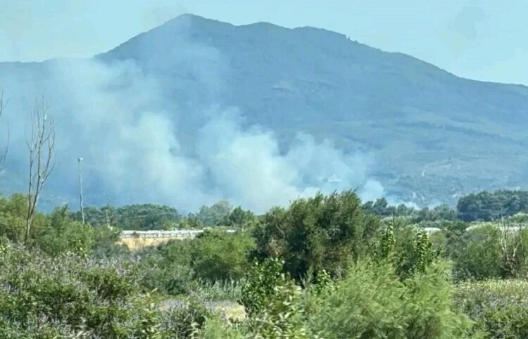 Καπνός από τη φωτιά στο Αγγελόκαστρο Αγρινίου (πηγή: Facebook / Forecast Weather Greece / Χρήστος Πασταλίδης)