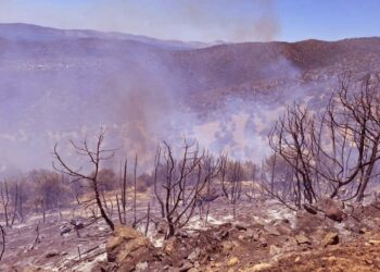 Καμένη δασική έκταση μετά την πυρκαγιά που ξέσπασε στην περιοχή Δάρδιζα Ερμιονίδος και στο Ηλιόκαστρο (φωτ.:ΑΠΕ-ΜΠΕ/Ευάγγελος Μπουγιώτης)