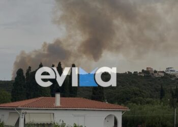 Η φωτιά έκαιγε στην περιοχή του Αλμυροποτάμου από το μεσημέρι της Πέμπτης (φωτ.: evima.gr)