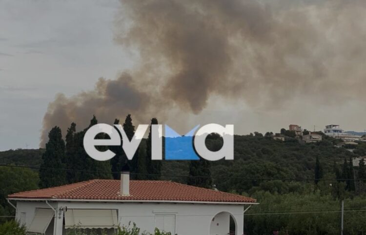 Η φωτιά έκαιγε στην περιοχή του Αλμυροποτάμου από το μεσημέρι της Πέμπτης (φωτ.: evima.gr)
