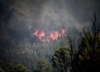 Στιγμιότυπο από τη φωτιά στην Αχαΐα (φωτ.: EUROKINISSI/IleiaLive/Γιάννης Σπυρούνης)
