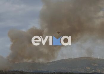 Η φωτιά προς το παρόν καίει αγροτοδασική έκταση (φωτ.: evima.gr)