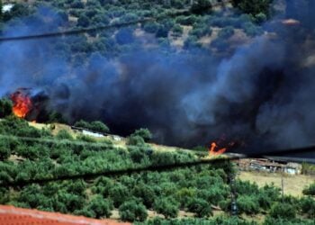 Στιγμιότυπο από φωτιά στις Μυκήνες, η οποία απείλησε κτηνοτροφικές μονάδες (φωτ.: EUROKINISSI/Βασίλης Παπαδόπουλος)
