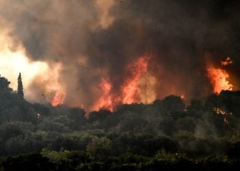 Χαρακτηριστικό στιγμιότυπο από φωτιά στην Ηλεία (φωτ.: EUROKINISSI/iIleiaLive.gr/Γιάννης Σπυρούνης)