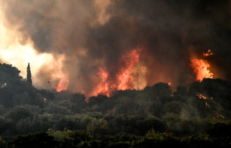 Χαρακτηριστικό στιγμιότυπο από φωτιά στην Ηλεία (φωτ.: EUROKINISSI/iIleiaLive.gr/Γιάννης Σπυρούνης)