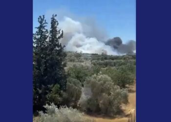 Στιγμιότυπο από τη φωτιά που καίει στην περιοχή (φωτ.: YouTube)