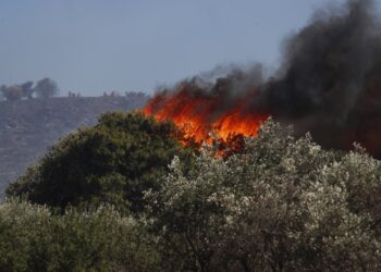 Η φωτιά προχωρά με ταχύτατους ρυθμούς λόγω των ισχυρών ανέμων (φωτ.: EUROKINISSI/Σωτήρης Δημητρόπουλος)