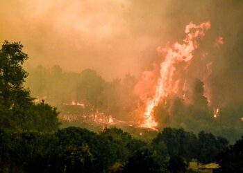 Οι φλόγες κατέκαψαν δασικές περιοχές στην Ηλεία (φωτ.: EUROKINISSI/IleiaLive/Γιάννης Σπυρούνης)