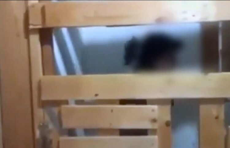 Στιγμιότυπο από βίντεο στο οποίο διακρίνεται η 29χρονη μέσα από την ξύλινη κατασκευή (φωτ.: glomex)