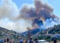 Μεγάλη πυρκαγιά στην Εύβοια, ανάμεσα στα χωριά Πετριές και Κριέζα (φωτ.: Eviathema.gr / EUROKINISSI)