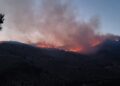 Πυρκαγιά καίει δασική έκταση στην περιοχή Μετόχι στη Χίο, τη Δευτέρα 1 Ιουλίου 2024. (Φωτ.: ΑΠΕ-ΜΠΕ/Κώστας Κούριας)