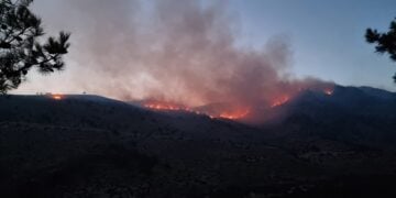 Πυρκαγιά καίει δασική έκταση στην περιοχή Μετόχι στη Χίο, τη Δευτέρα 1 Ιουλίου 2024. (Φωτ.: ΑΠΕ-ΜΠΕ/Κώστας Κούριας)