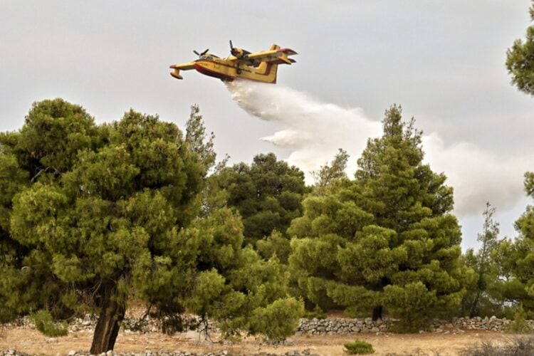 Πυροσβεστικό αεροσκάφος επιχειρεί στην κατάσβεση πυρκαγιάς που ξέσπασε σε δασική έκταση στο Αμόνι Κορινθίας, Τρίτη 23 Ιουλίου 2024 (φωτ.: ΑΠΕ-ΜΠΕ/ Βασίλης Ψωμάς)