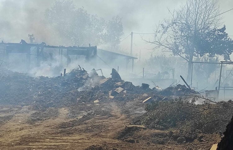 Η φωτιά στα Αμπελάκια έκαψε σπίτια και αποθήκες (φωτ.: thrakionline.gr)