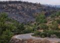 Καμένα δέντρα στην περιοχή Μετόχι στη Χίο (φωτ.: ΑΠΕ-ΜΠΕ / Κώστας Κούριας)