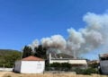 Μεγάλη πυρκαγιά στην Εύβοια, ανάμεσα στα χωριά Πετριές και Κριεζά (φωτ.: Eviathema.gr / EUROKINISSI)