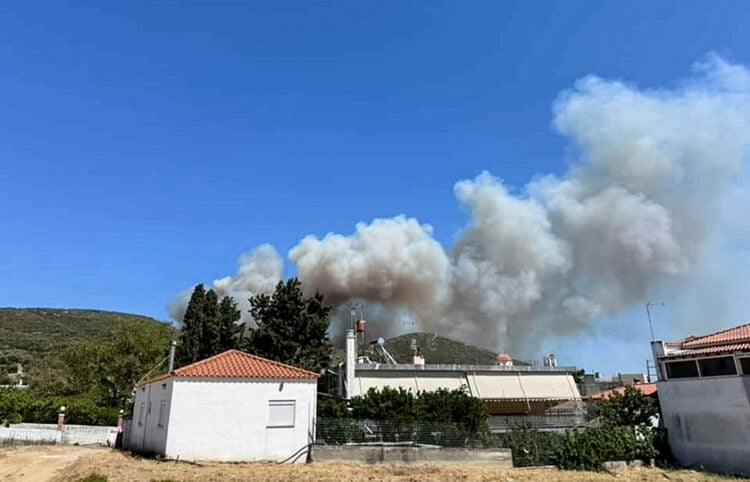 Μεγάλη πυρκαγιά στην Εύβοια, ανάμεσα στα χωριά Πετριές και Κριέζα (φωτ.: Eviathema.gr / EUROKINISSI)